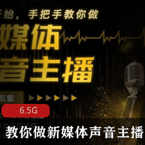 （声音主播）教程