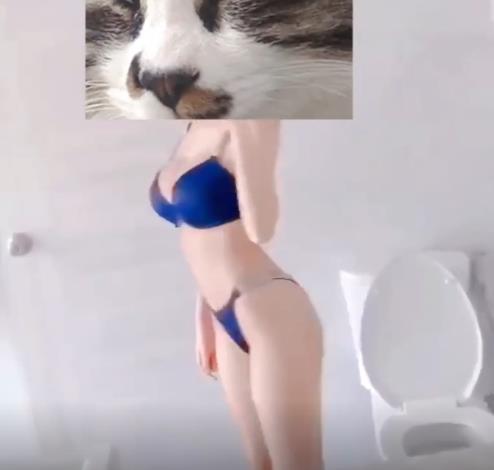 九一两大男神《飞机哥》《王牌飞行员》各自征服黑丝网红