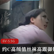 大神十八寸铁棒约C高颜值丝袜高跟御姐+对白精彩+[6V-5.5G]