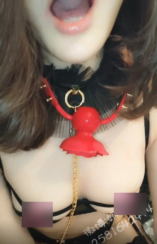 户外展示合集2V12.6G