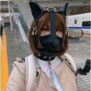 满月之夜小合集-17.9G-12v-百度盘