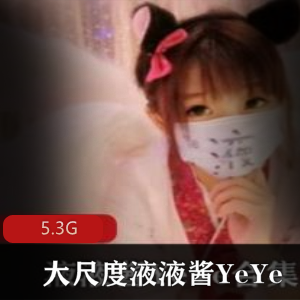 私拍有尺度液液酱YeYe无圣光合集