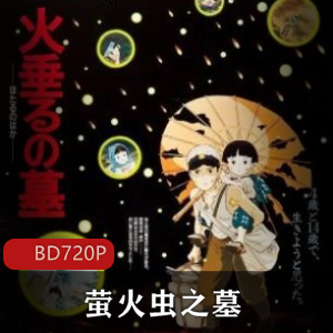 萤火虫之墓：日本动画导演高畑勋执导的高清珍藏版推荐