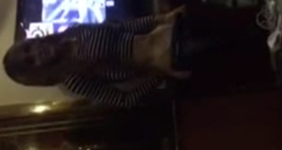 伪娘优质珍藏合辑58部111G推文劲爆补档