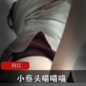 推特小蔡头喵喵喵私密合辑78V66G绝了