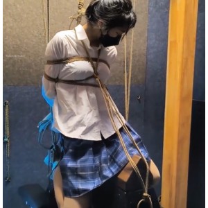 雨辰工作室指教视频大合集13部26G优质珍藏