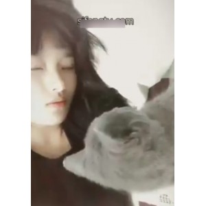 推特高倩75部蜜桃视频458M绝赞珍藏