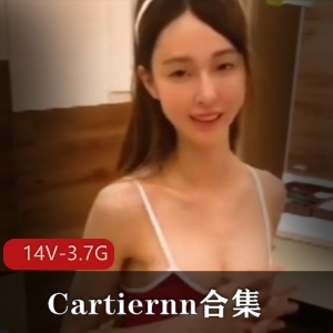 SWAG头牌Cartiernn绝活14部3.7G珍藏版