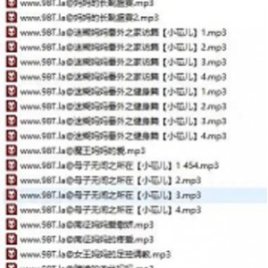 29.1G母系精品音声合集594部太顶了