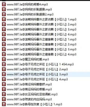 29.1G母系精品音声合集594部太顶了