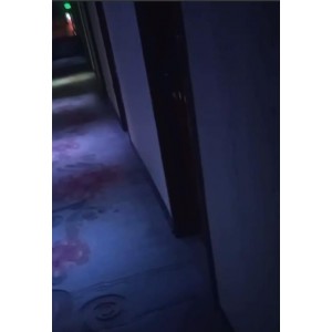感觉夜游客栈酒店民宿偷听录音91部6.48G特真实