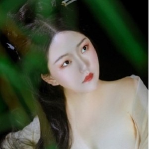 50G推特甄选古风优质女神视频88部太勾人了