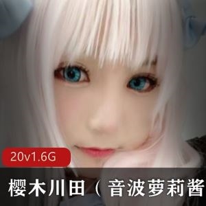20套1.6G抖音樱木川田高颜值麻豆剧情COS合集太顶了