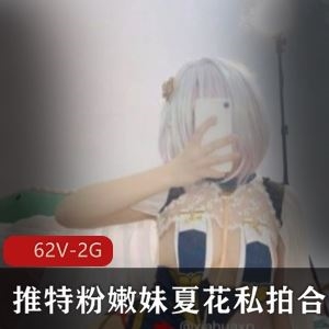 某推夏花二次元少女私拍合集62部2G粉嫩太顶